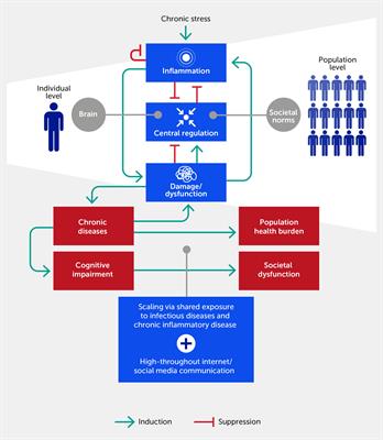 A multiscale inflammatory map: linking individual stress to societal dysfunction